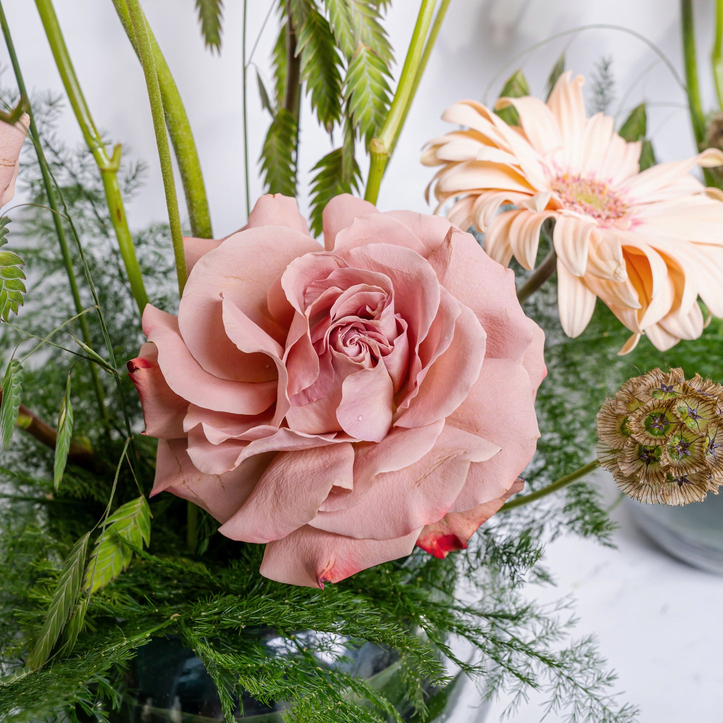 Flora Set 2