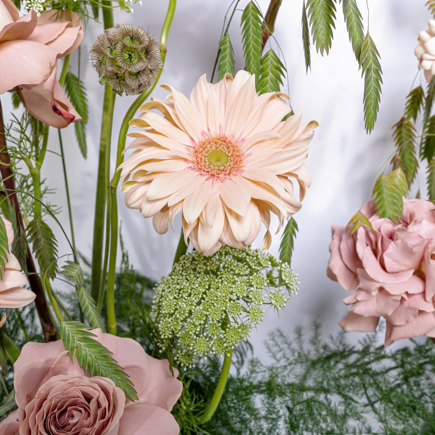 Flora Set 2