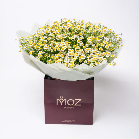 The Chamomile Bouquet