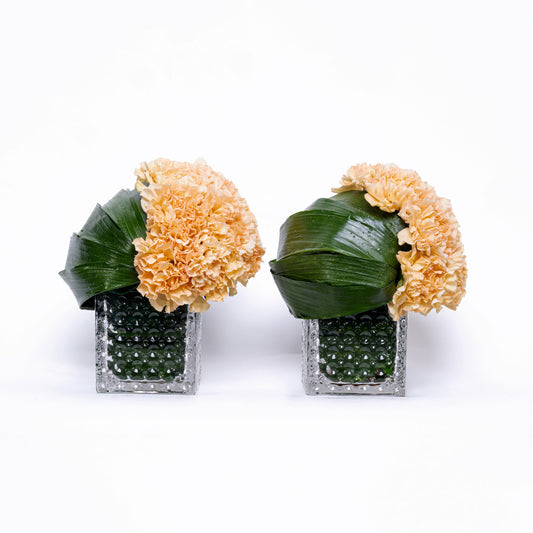 Carnation Twin