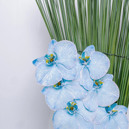 Orchid Queen