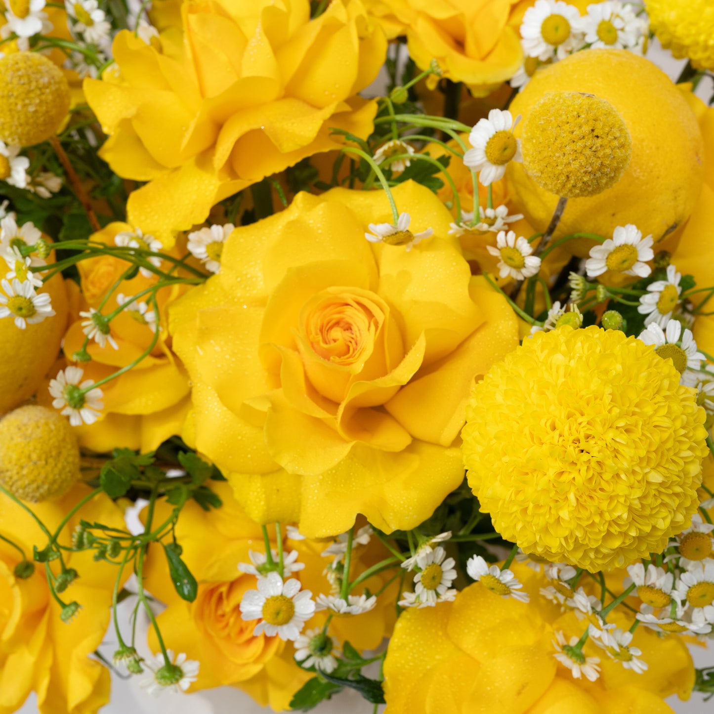 Zesty Blooms