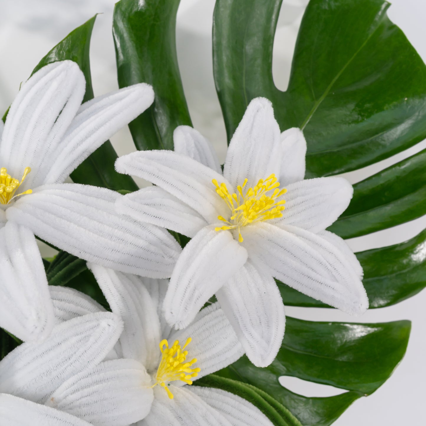 Lily of hearts