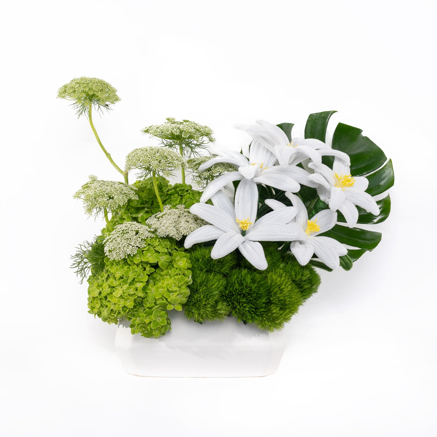 Lily of hearts