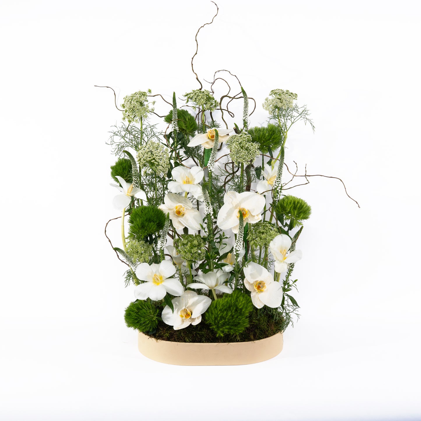 Floral  (White)
