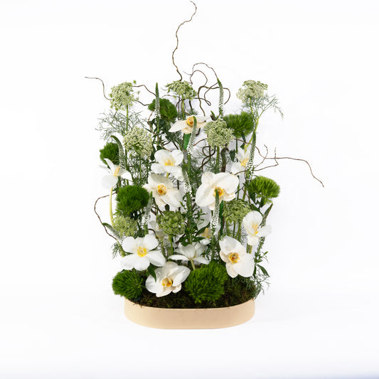 Floral  (White)
