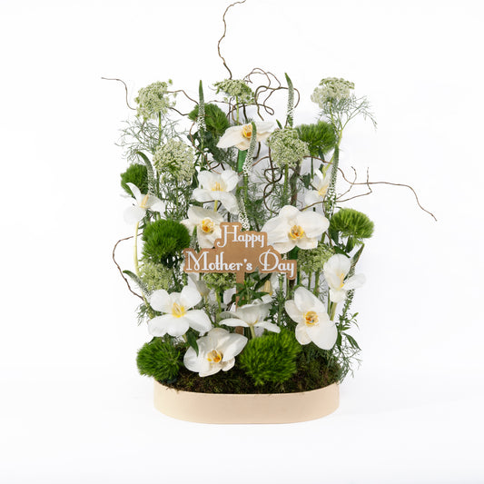 Floral  (White)