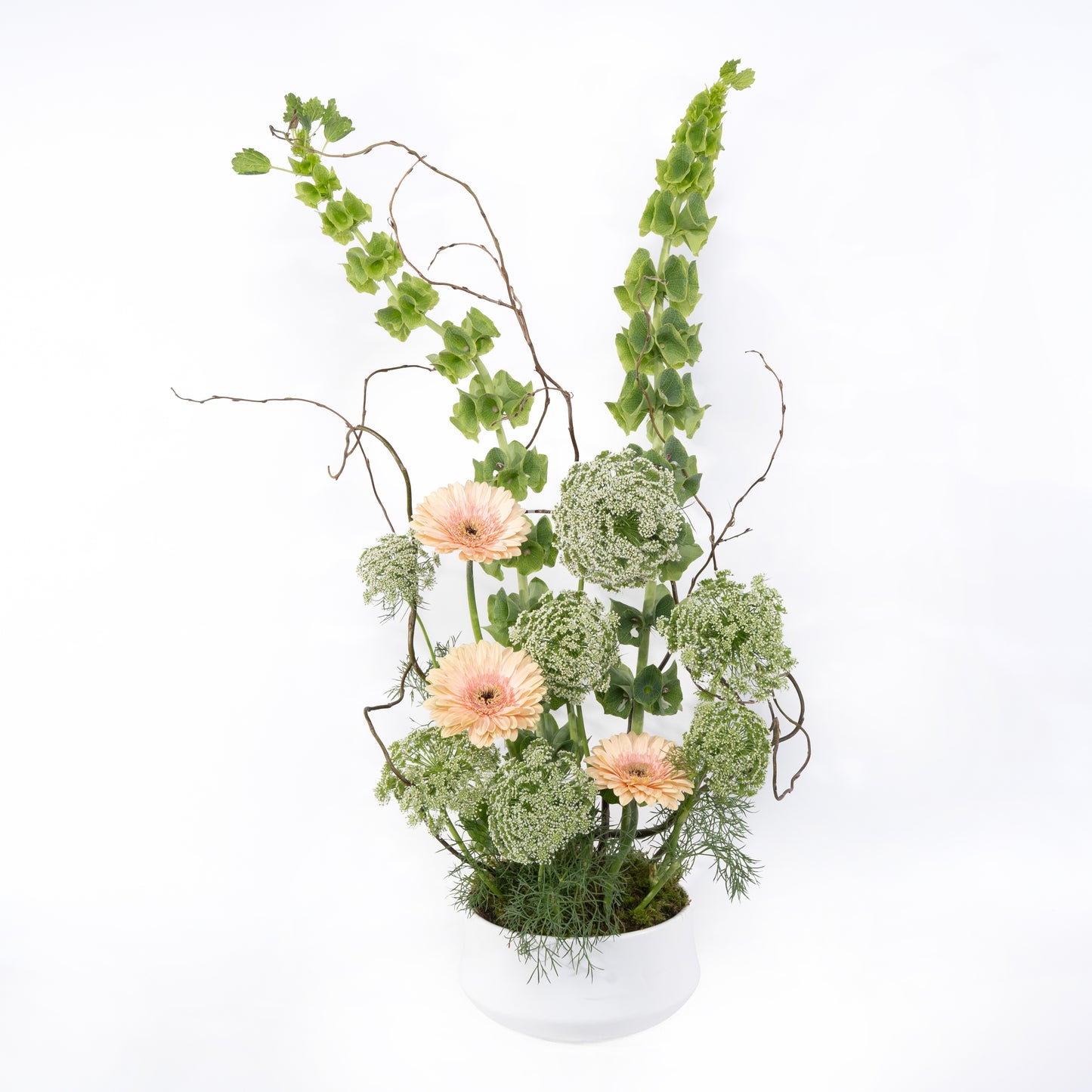 Posy Garden