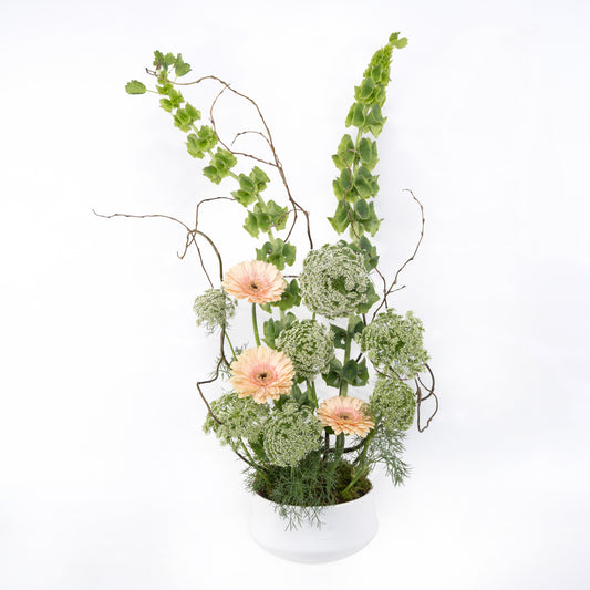 Posy Garden