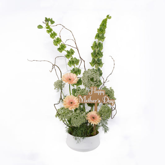 Posy Garden