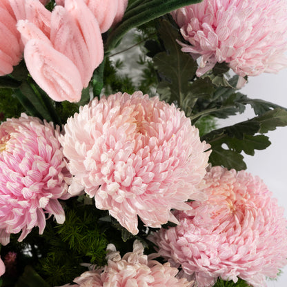 Blush Tulip