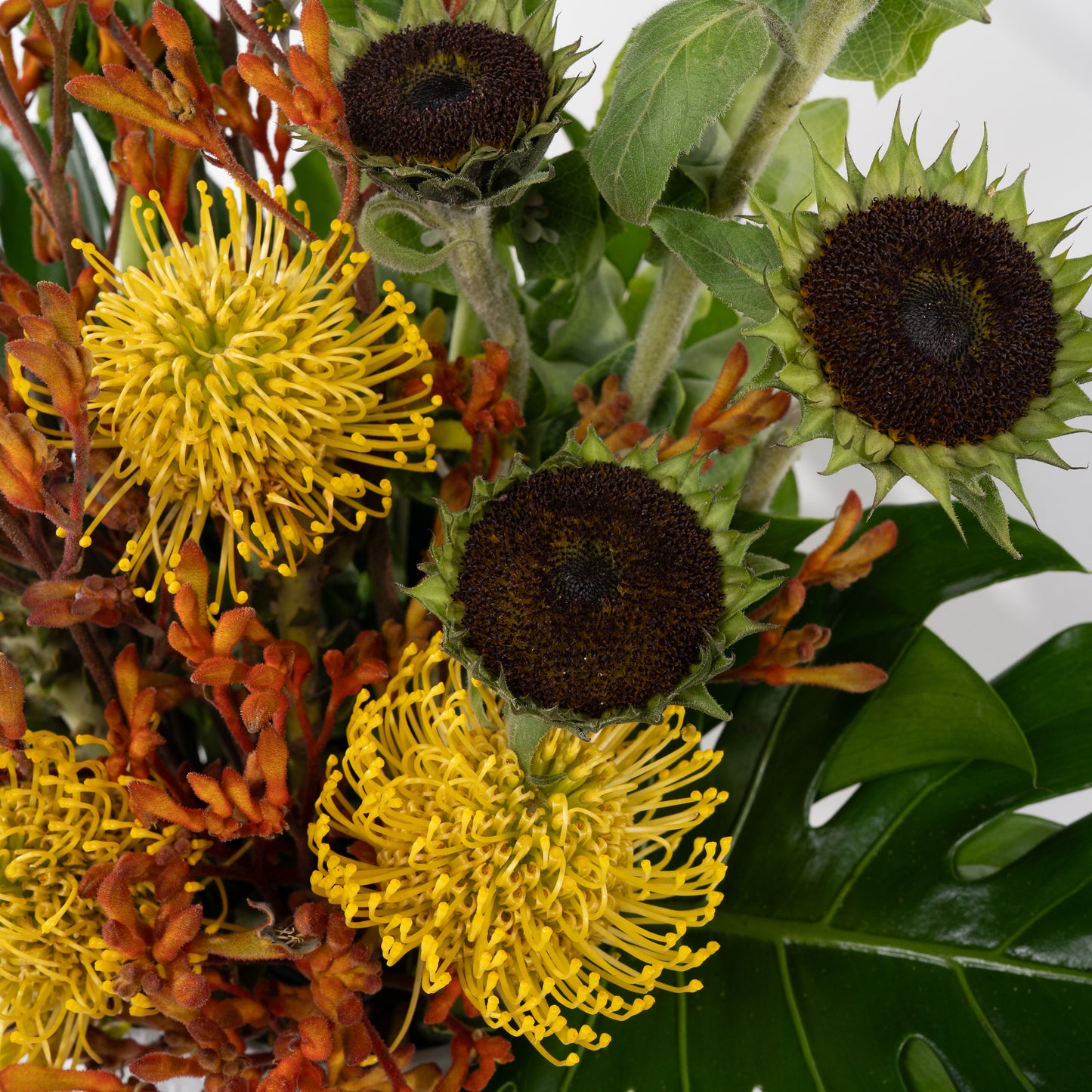 Ochre