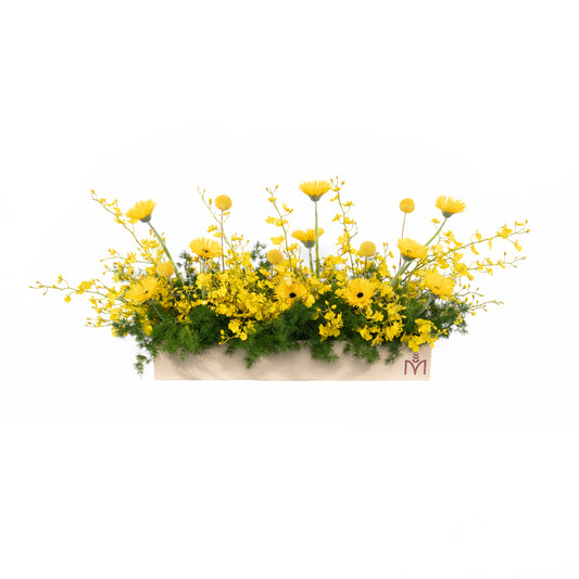 Tray Garden (Yellow)