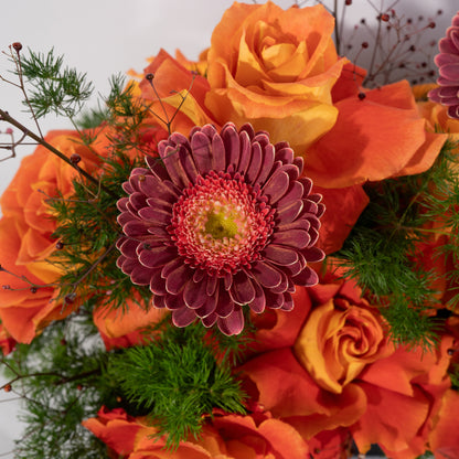 Tray Garden (Orange)