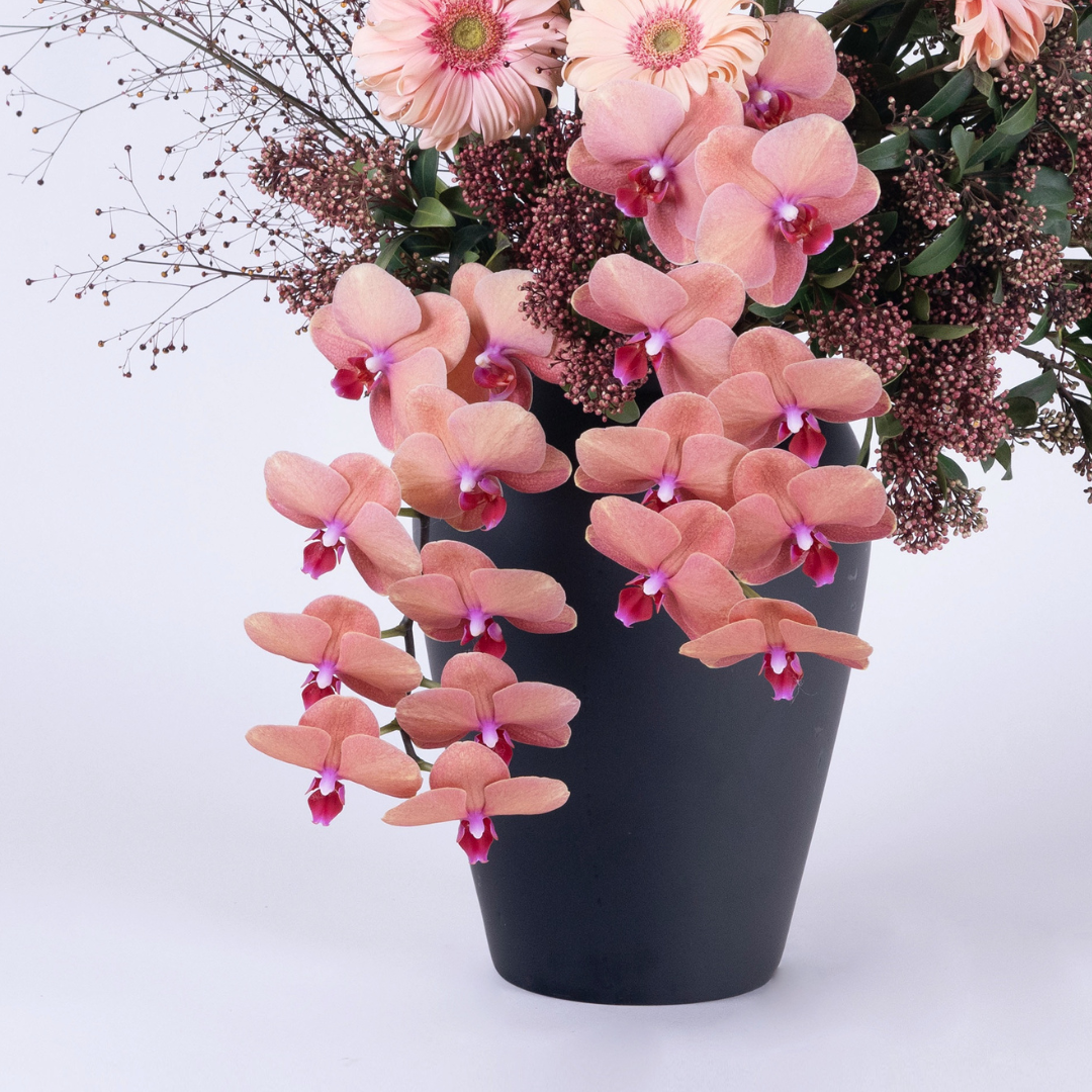 Peach Orchids & Gerbera Arrangement