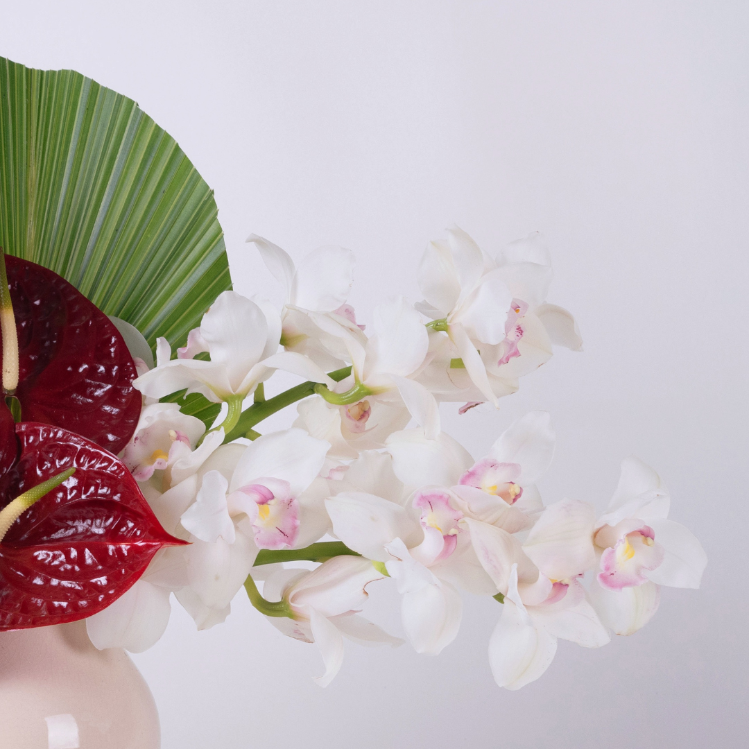 Red Anthurium & Ivory Cymbidium Orchid