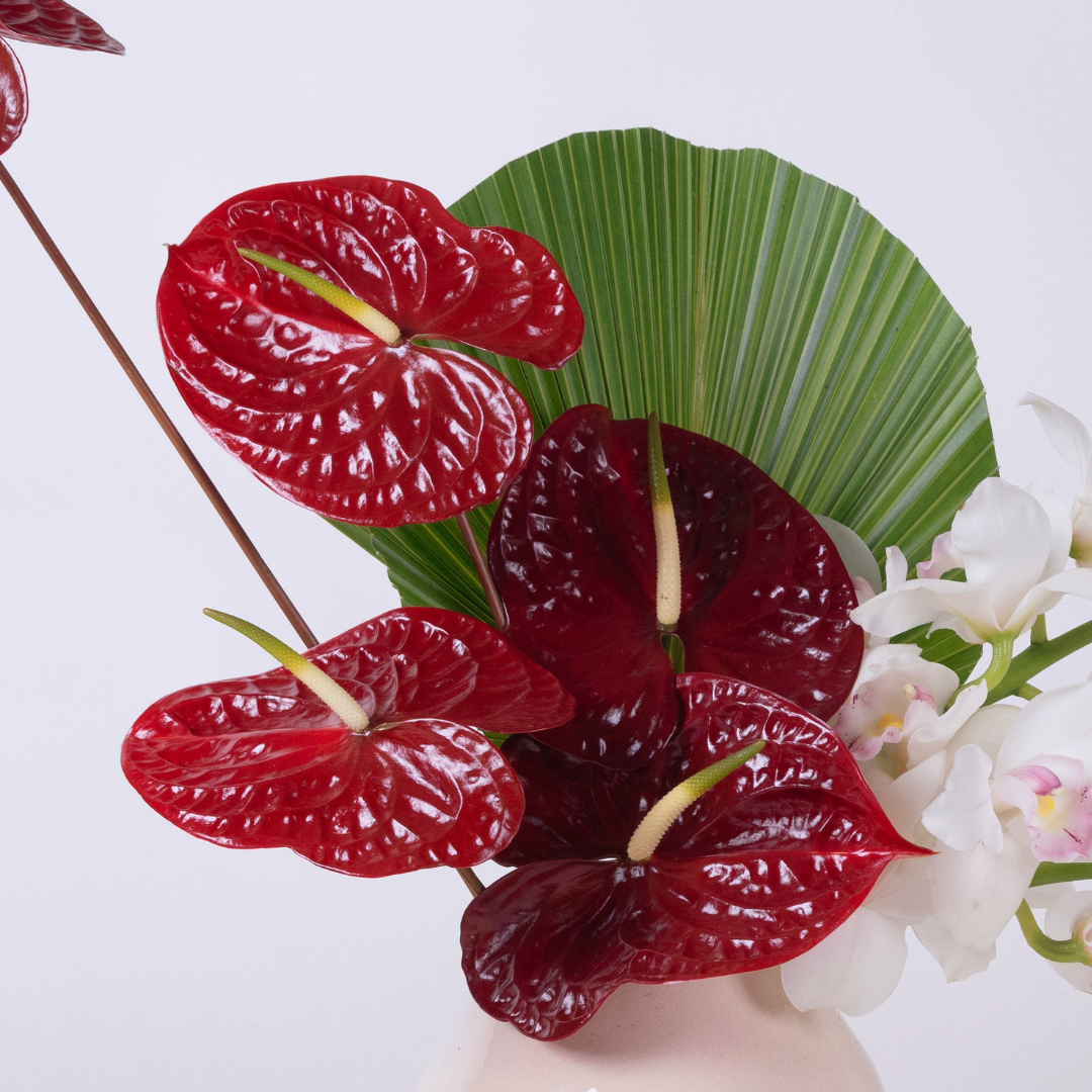 Red Anthurium & Ivory Cymbidium Orchid