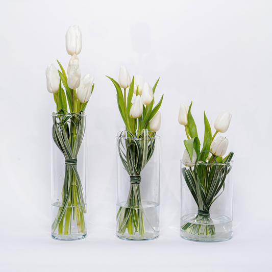 Trio Tulip Set
