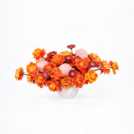 Rosy (Orange)