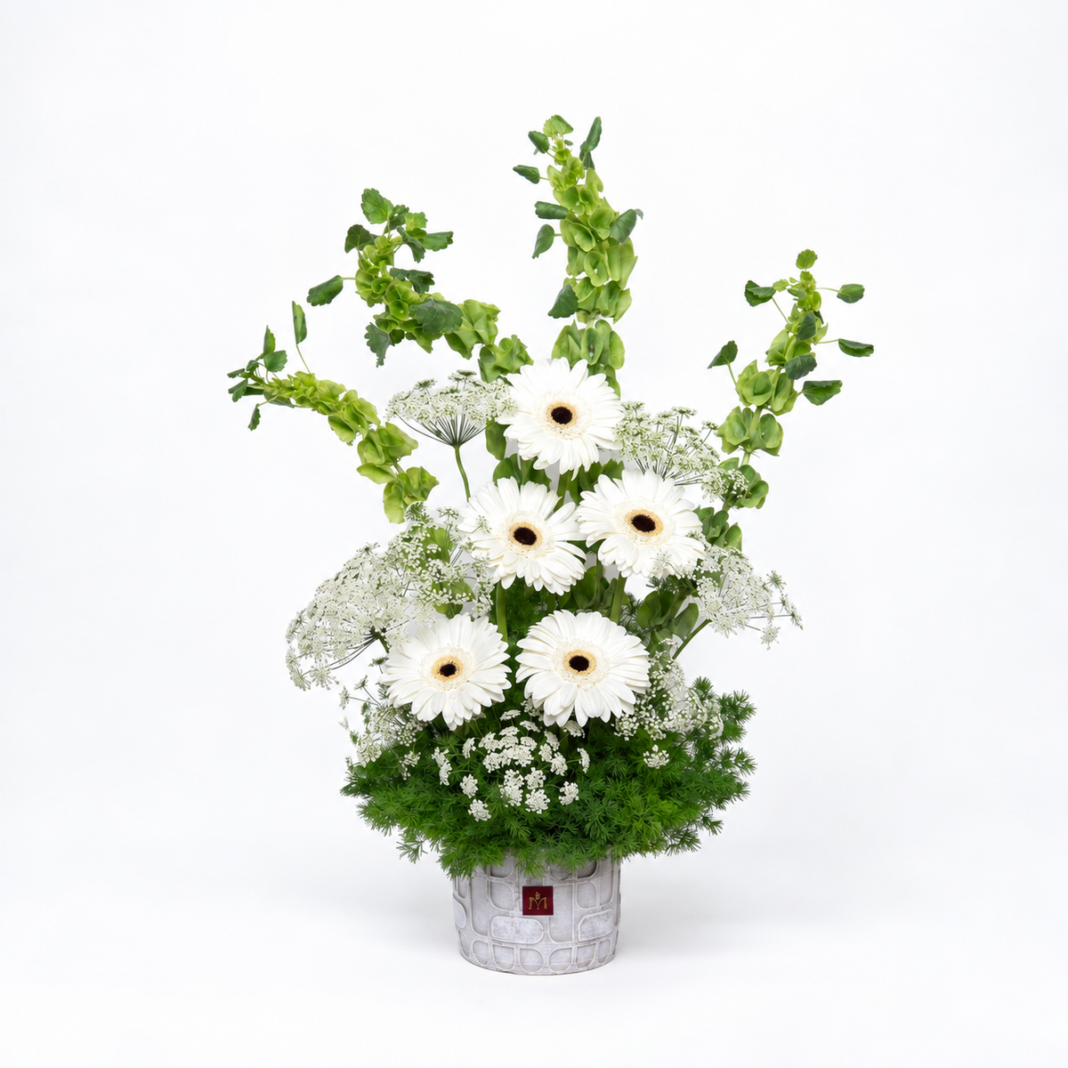 Gerbera Garden