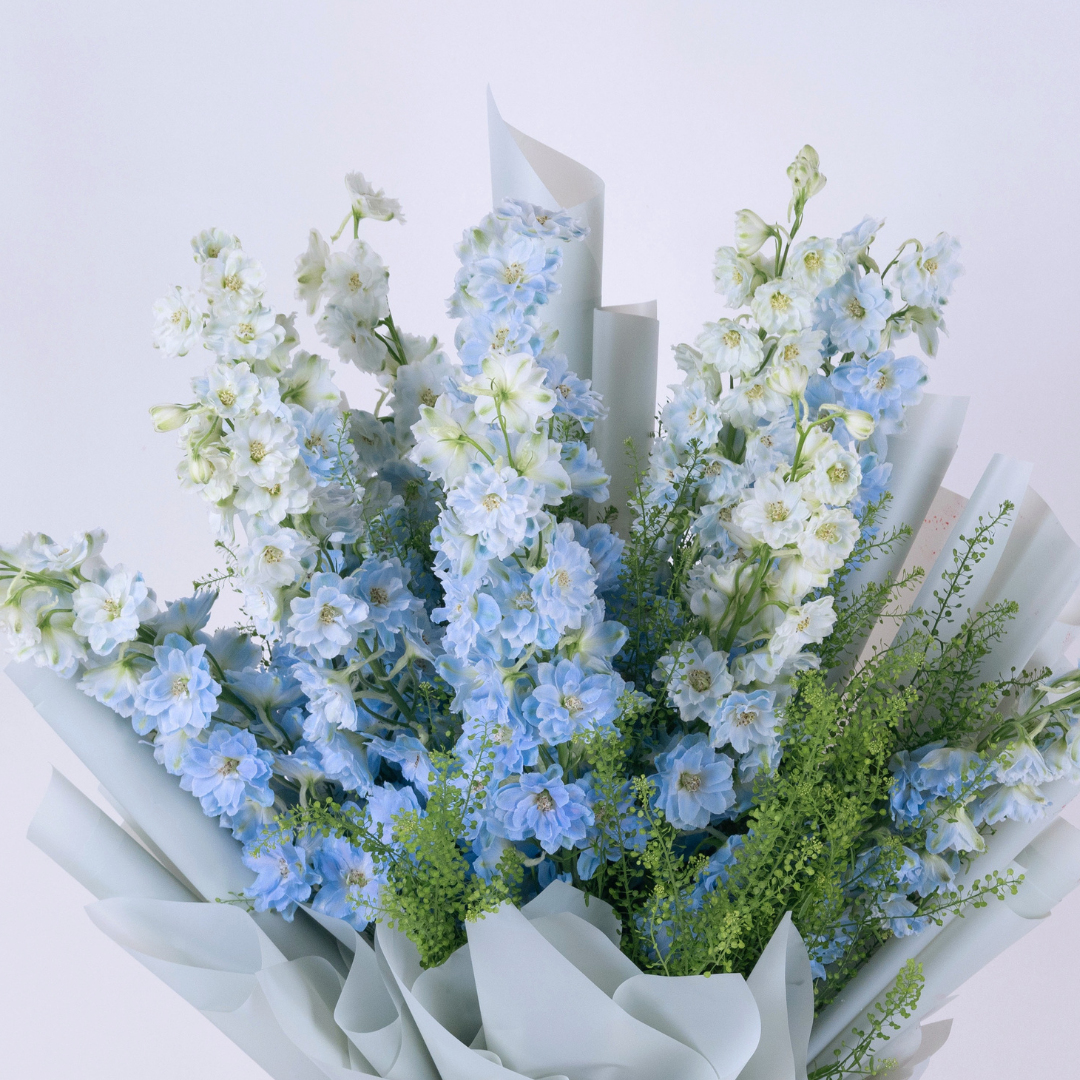 Baby Blue | Blue Delphinium Bouquet