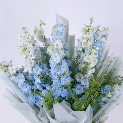 Baby Blue | Blue Delphinium Bouquet