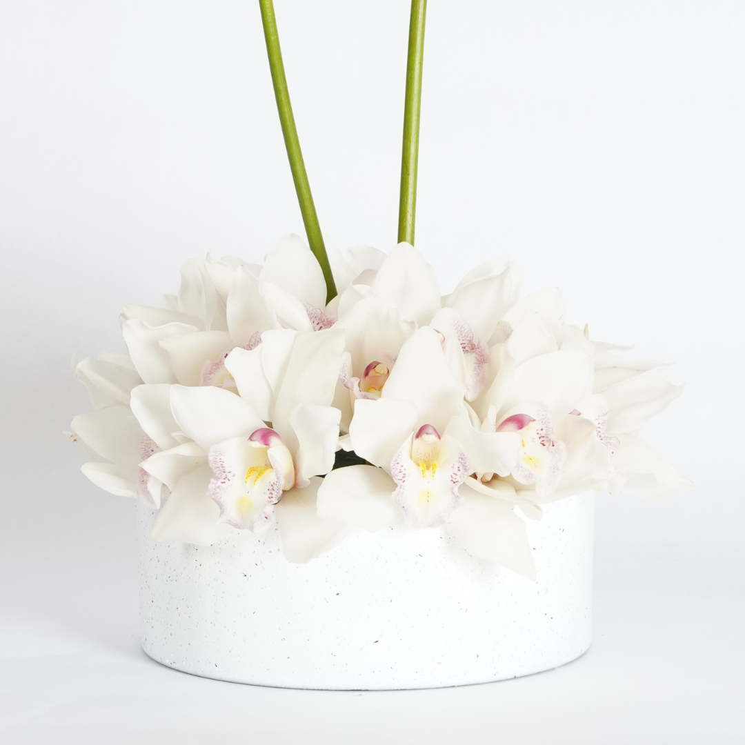 white orchids