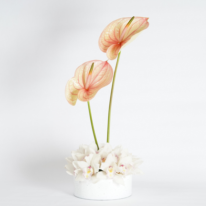 orchid and anthurium flower arrangement