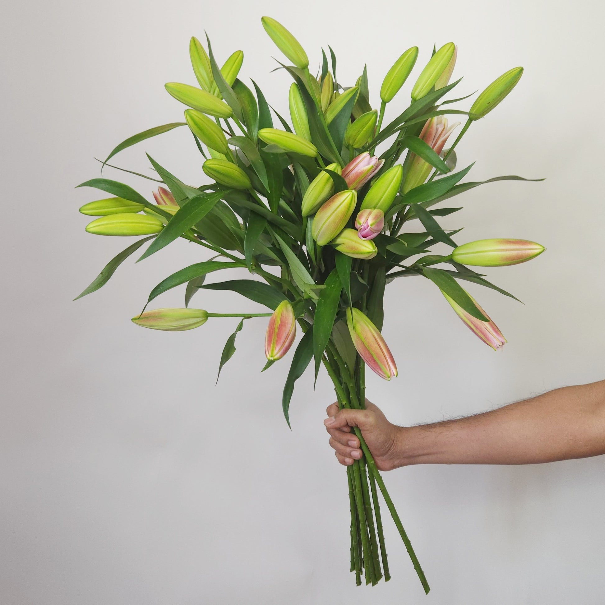 fresh pink lilies free deliver dubai