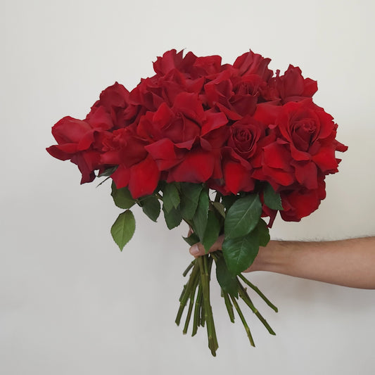 Fresh red roses same day delivery