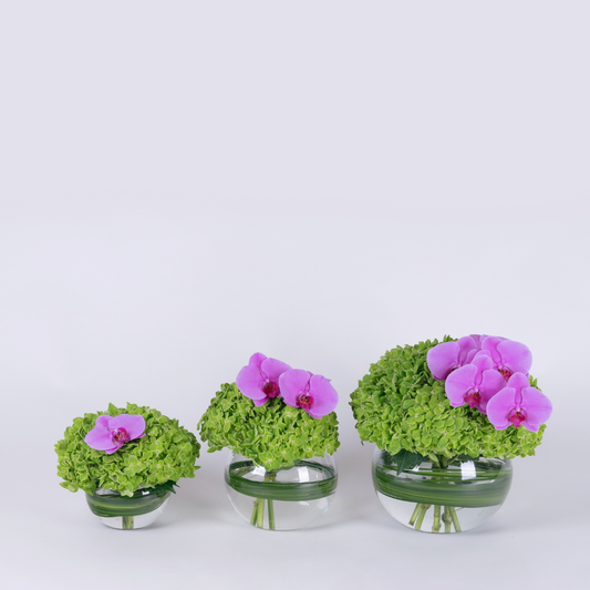 green and purple hydrangea flower set coffee table flowers