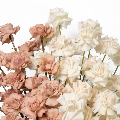 Latte and Cream Grande Roses Flower Arrangement