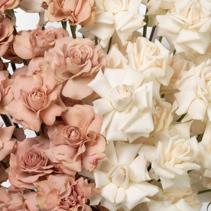 Latte and Cream Grande Roses Flower Arrangement