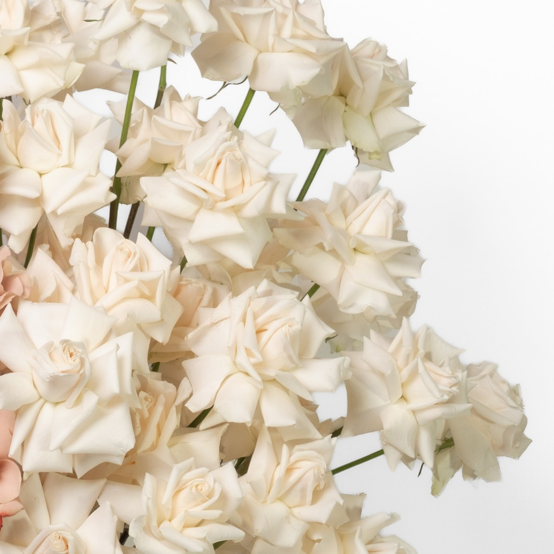 Latte and Cream Grande Roses Flower Arrangement