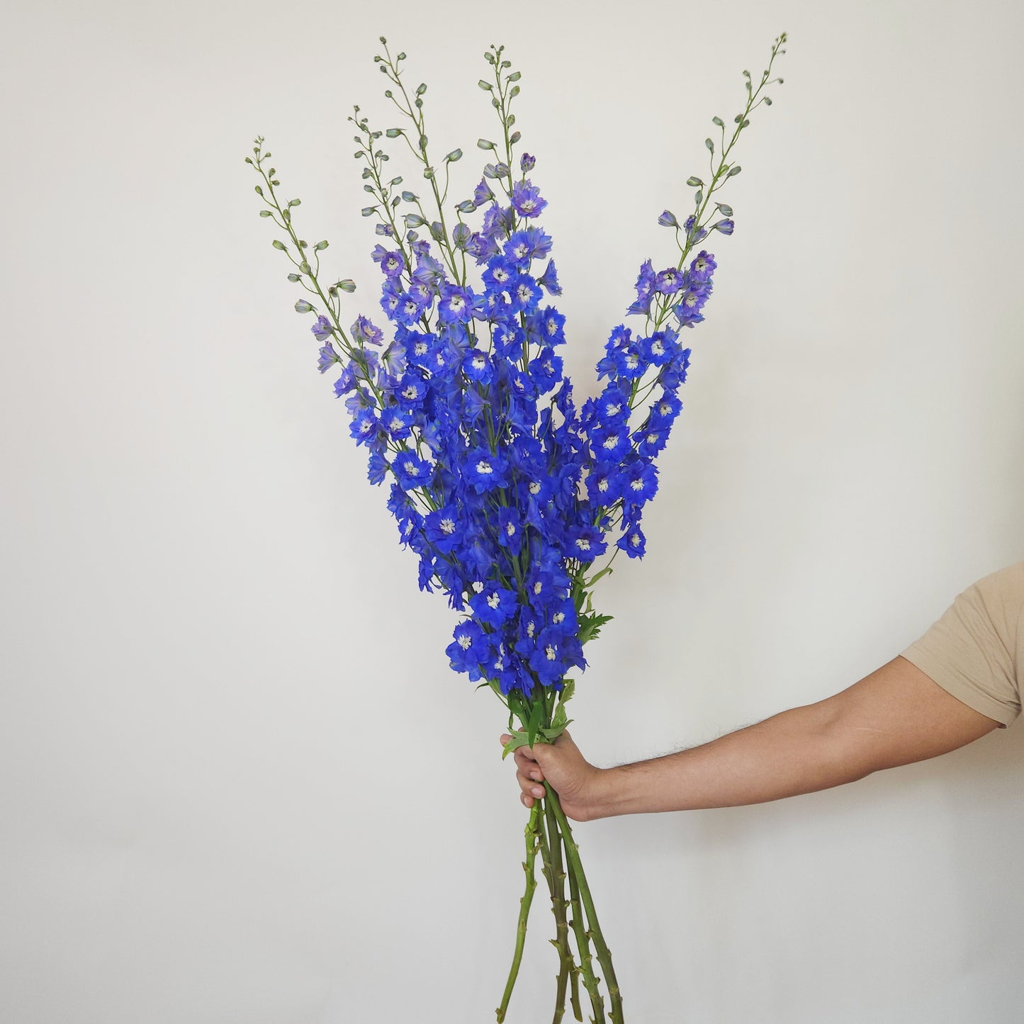 blue flower delivery dubai
