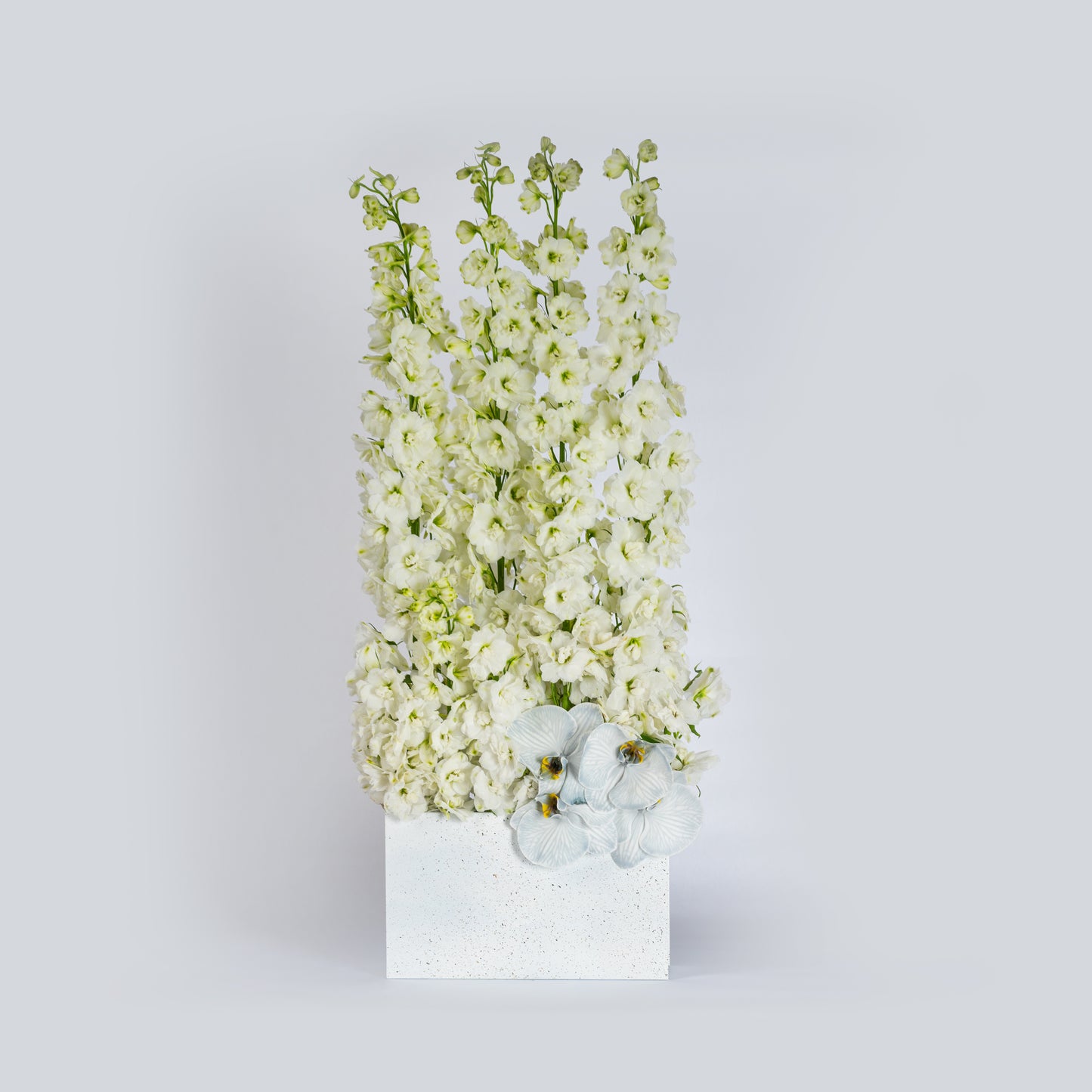 white delphinium flower arrangement 