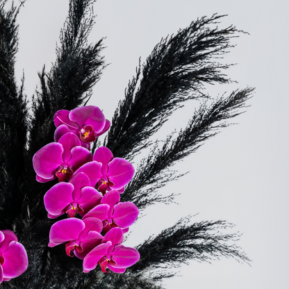 black pampas and pink orchids flower arrangement 