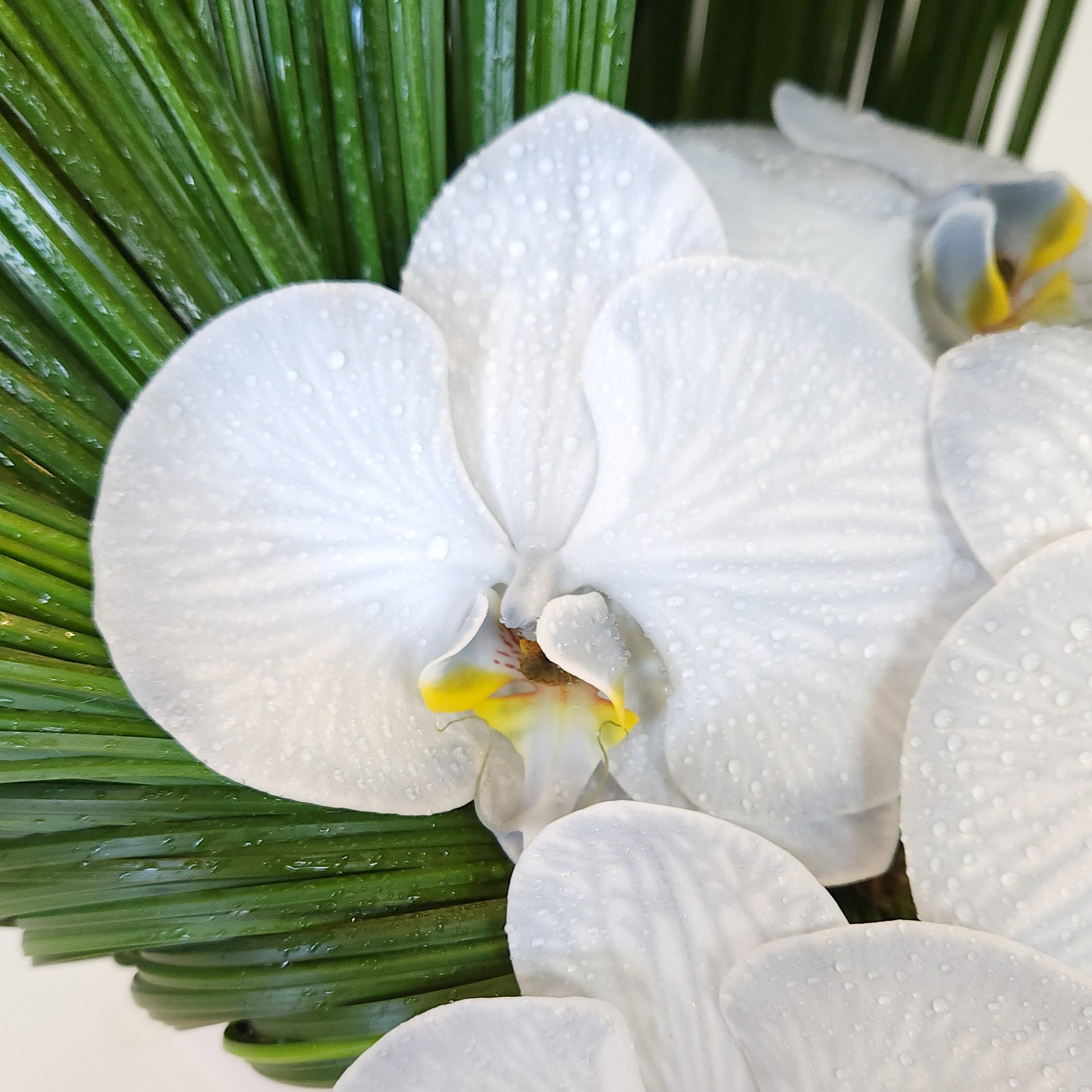 seashell flower arrangement dubai flower delivery orchid