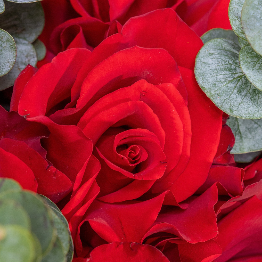Classic Bloom Bouquet