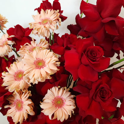 This is Love | Red Roses & Peach Gerbera