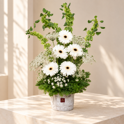 Gerbera Garden