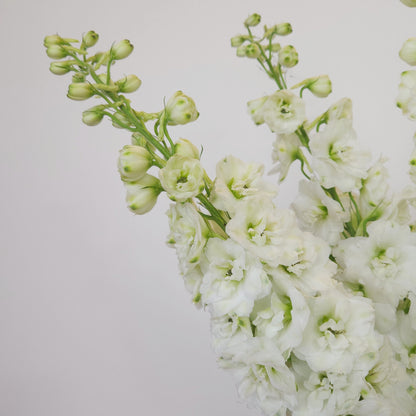 white flowers delivery dubai