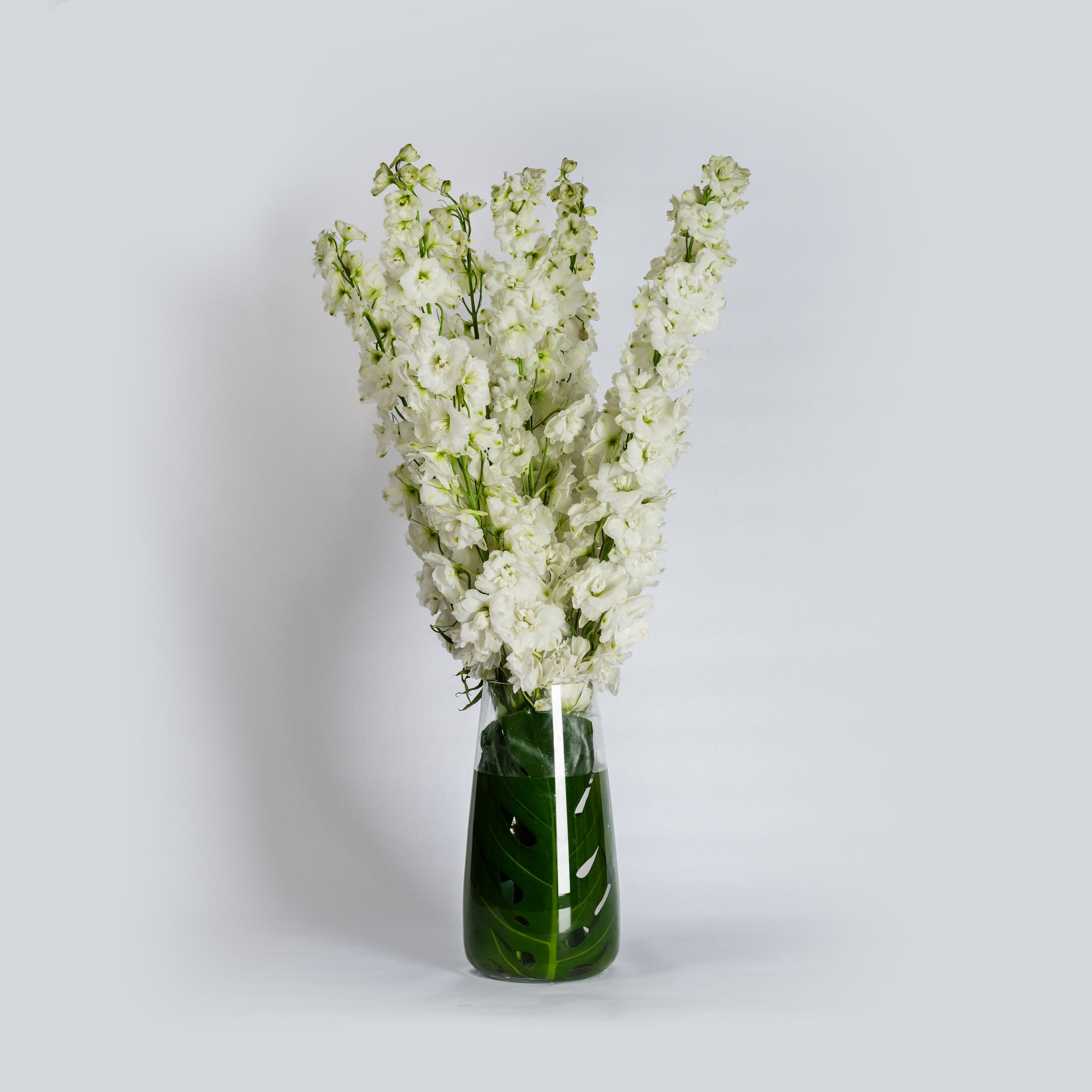 delphinium flower arrangement 