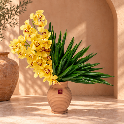 Orchid Orient