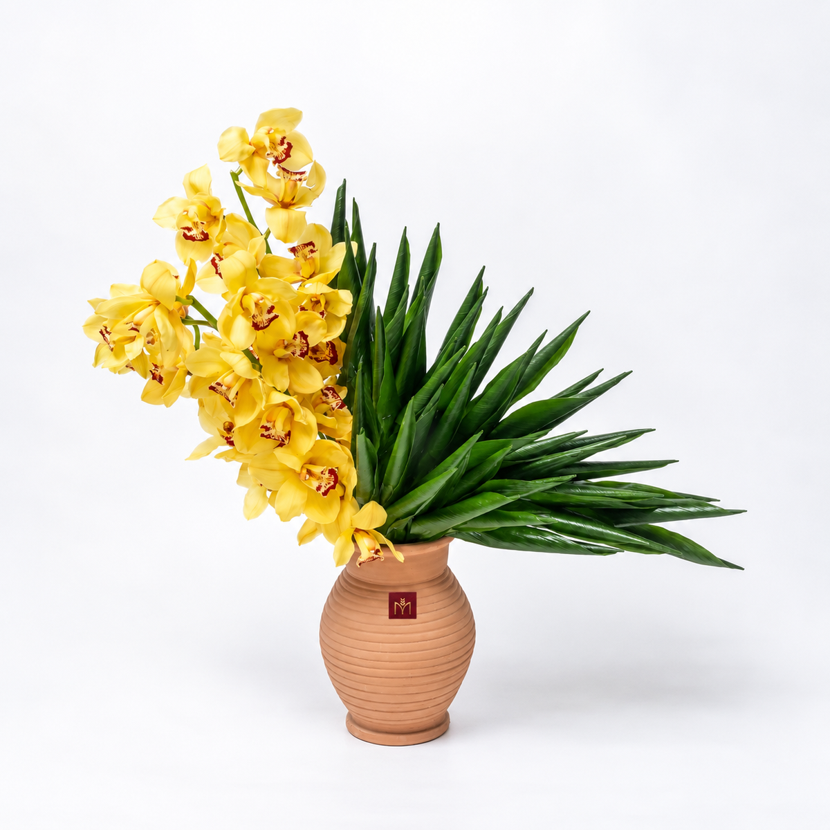 Orchid Orient