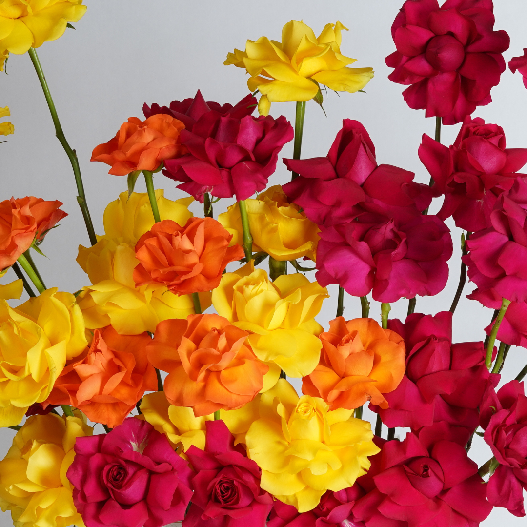 bright flower arrangement 
